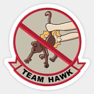 TEAM HAWK patch Sticker